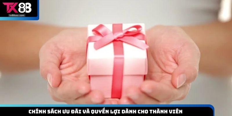 Chính sách ưu đãi và quyền lợi dành cho thành viên